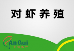 對(duì)蝦養(yǎng)殖